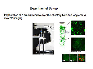 Experimental Set-up