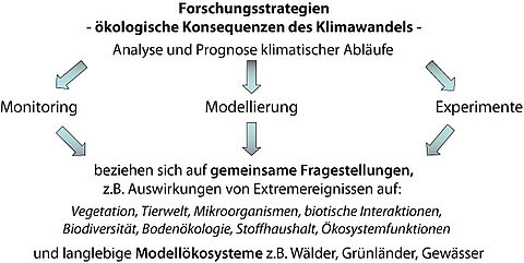 Forschungsstrategien - ökoligische Konsequenzen des Klimawandels