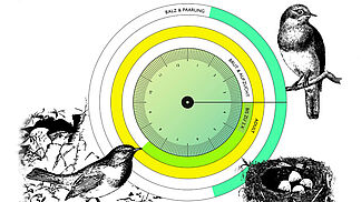 Anwendung der Methode Animal-Aided Design