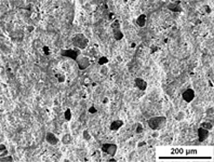 Custom-Implantate durch Rapid-Prototyping