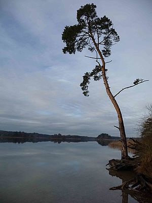 Osterseen im Dezember