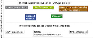 Thematic working groups of all FORKAST projects