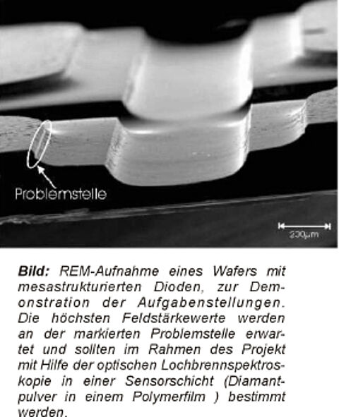 REM-Aufnahme eines Wafers mit mesastrukturierten Dioden