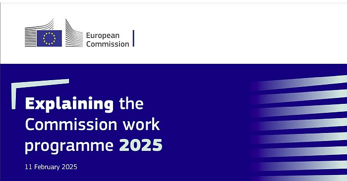 The European Commission's work programme for 2025 and preparations for the MFF